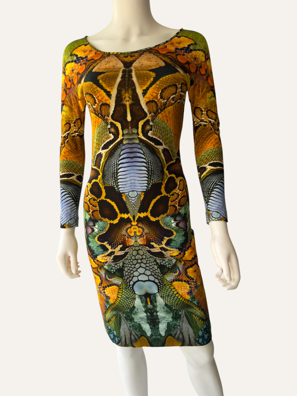 Alexander McQueen Plato’s Atlantis Dress